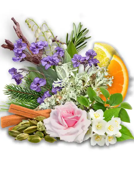 Fierce AF Type Clean Fragrance - Fragrances